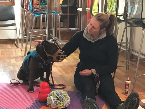 Lady training dog